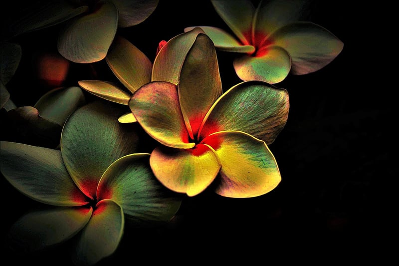 Mindfulness Image